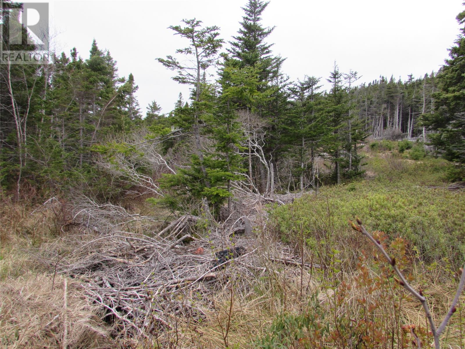 6 Country Lane, Conception Harbour, Newfoundland & Labrador  A0A 1Z0 - Photo 3 - 1280737