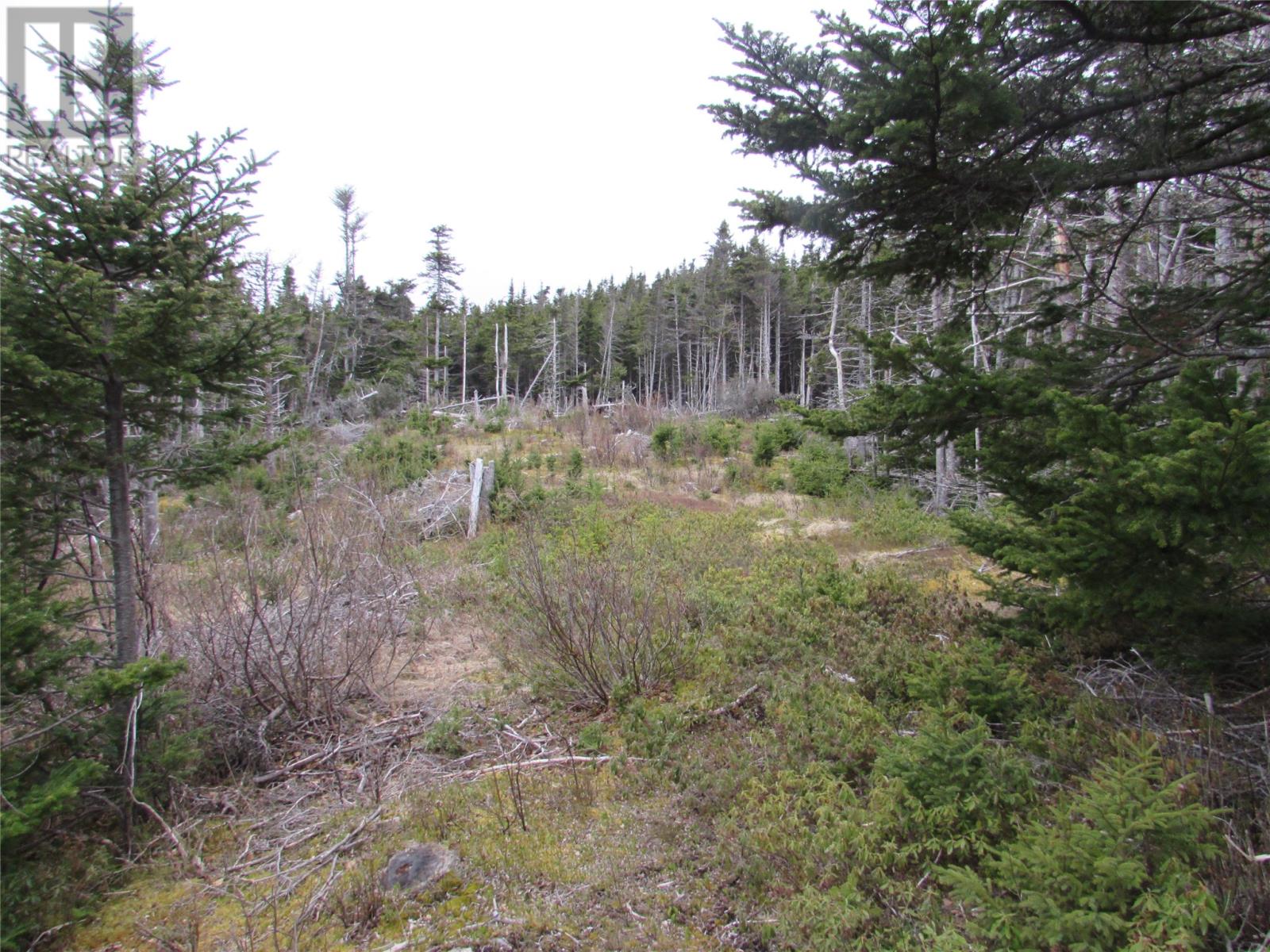6 Country Lane, Conception Harbour, Newfoundland & Labrador  A0A 1Z0 - Photo 4 - 1280737
