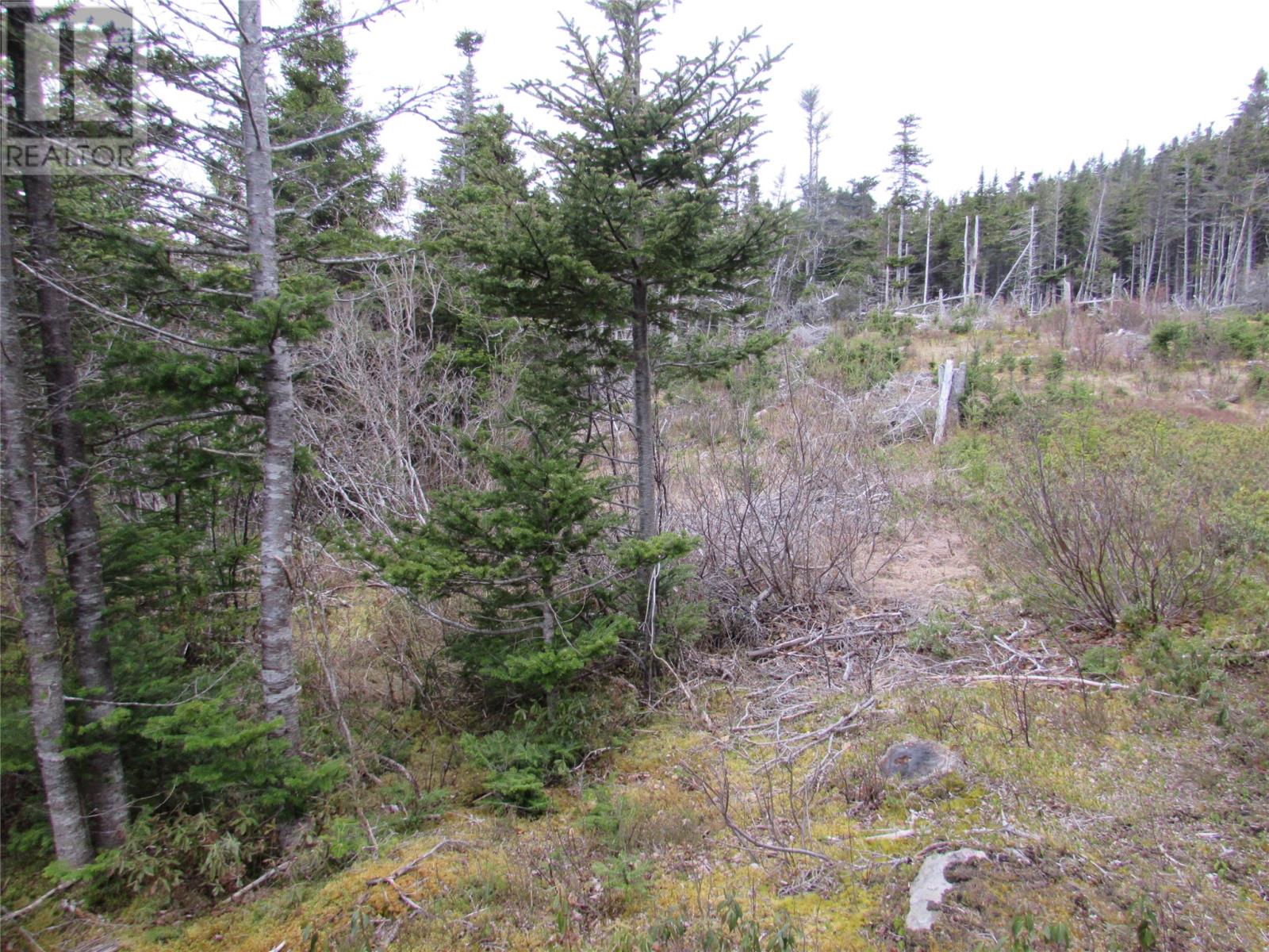 6 Country Lane, Conception Harbour, Newfoundland & Labrador  A0A 1Z0 - Photo 5 - 1280737