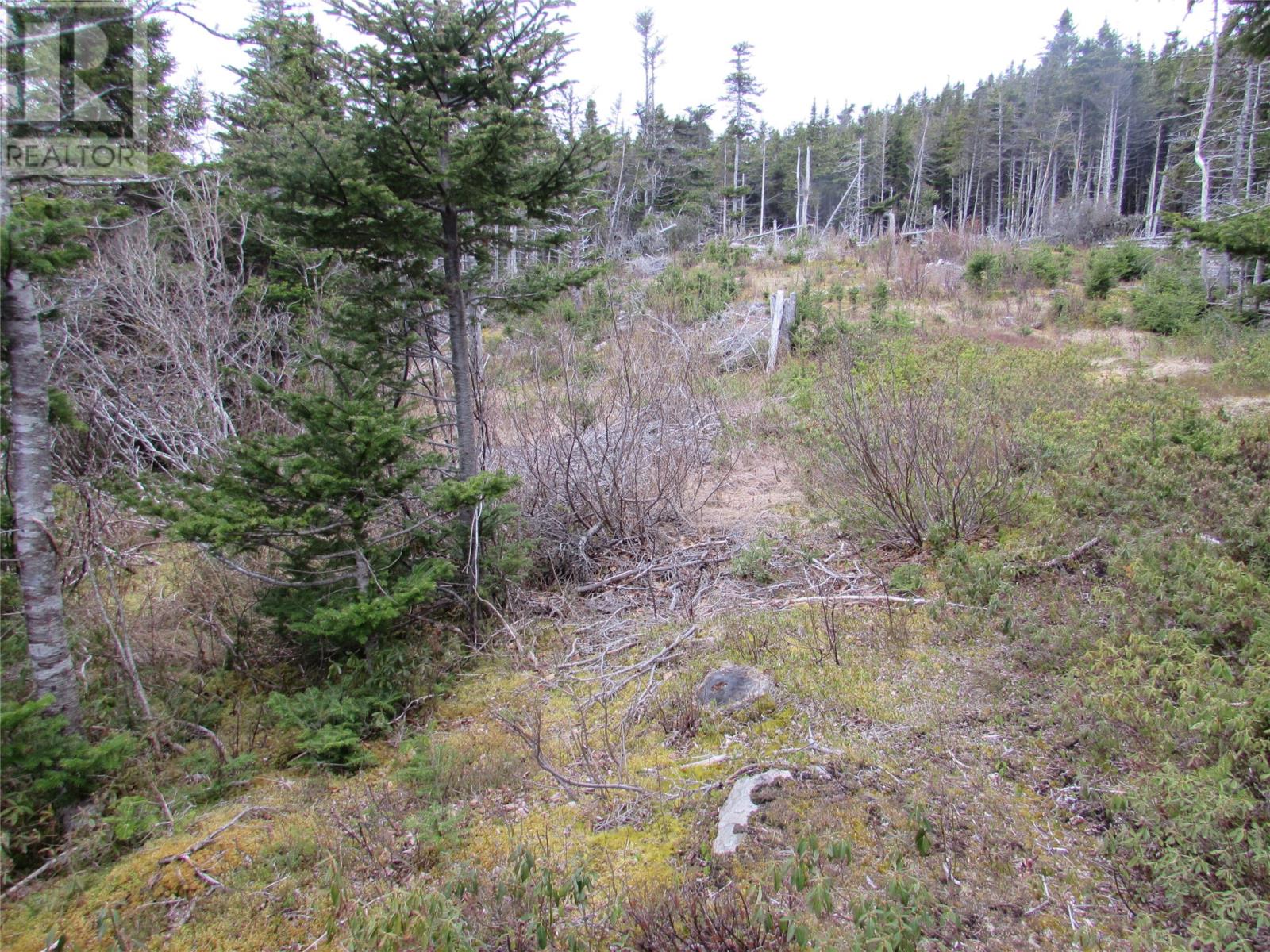 6 Country Lane, Conception Harbour, Newfoundland & Labrador  A0A 1Z0 - Photo 7 - 1280737