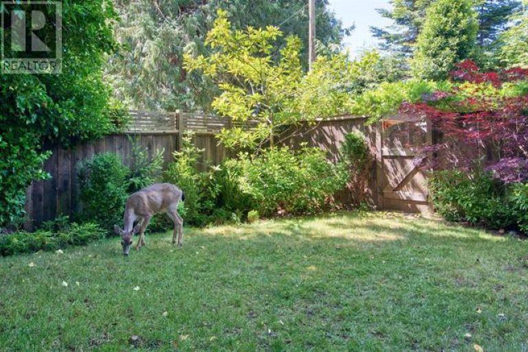 711 Franklin Road, Gibsons, British Columbia  V0N 1V8 - Photo 39 - R2925061