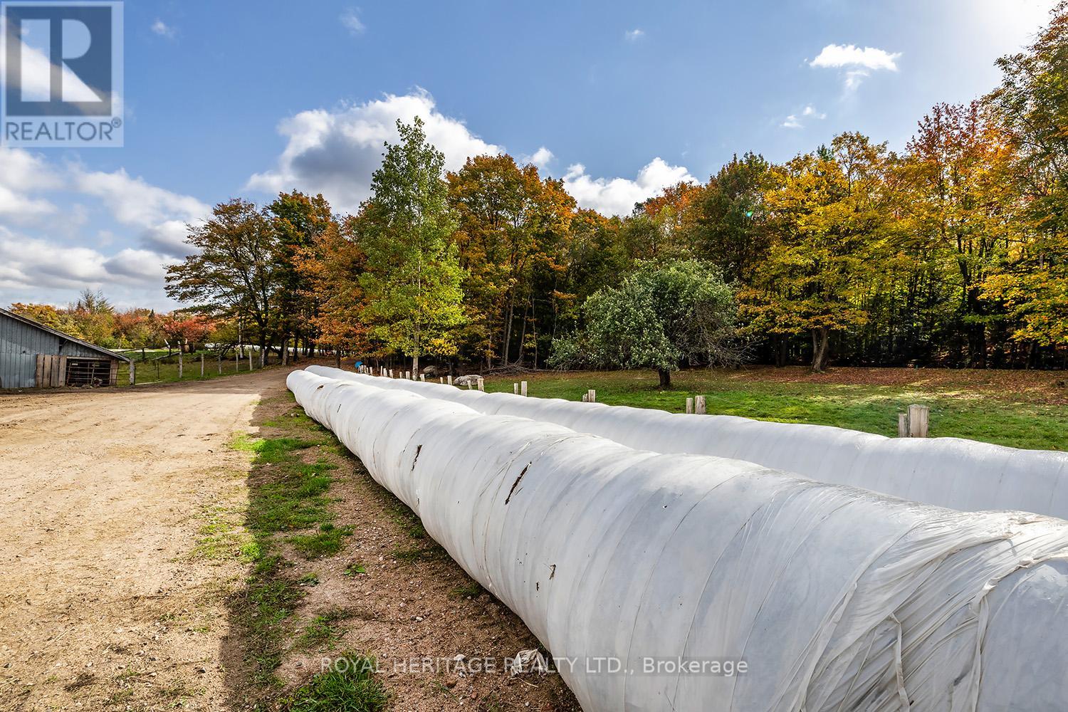 266 Mcfadden Line, Powassan, Ontario  P0H 2L0 - Photo 23 - X9386499