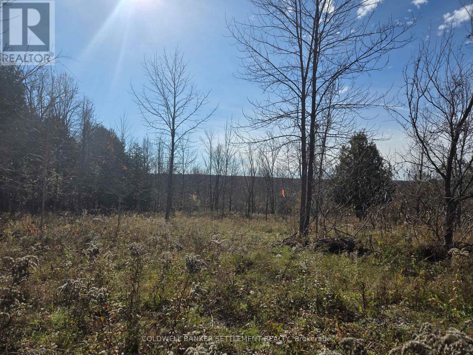 0 Dalhousie Con 8 Road, Lanark Highlands, Ontario  K0G 1K0 - Photo 1 - X11917297