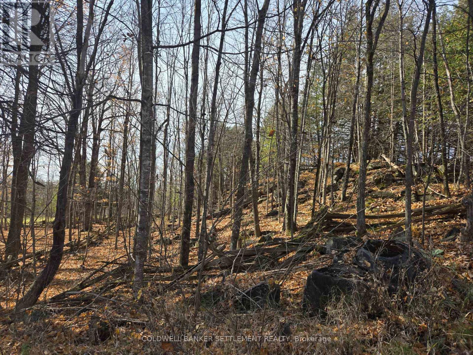 0 Dalhousie Con 8 Road, Lanark Highlands, Ontario  K0G 1K0 - Photo 4 - X11917297