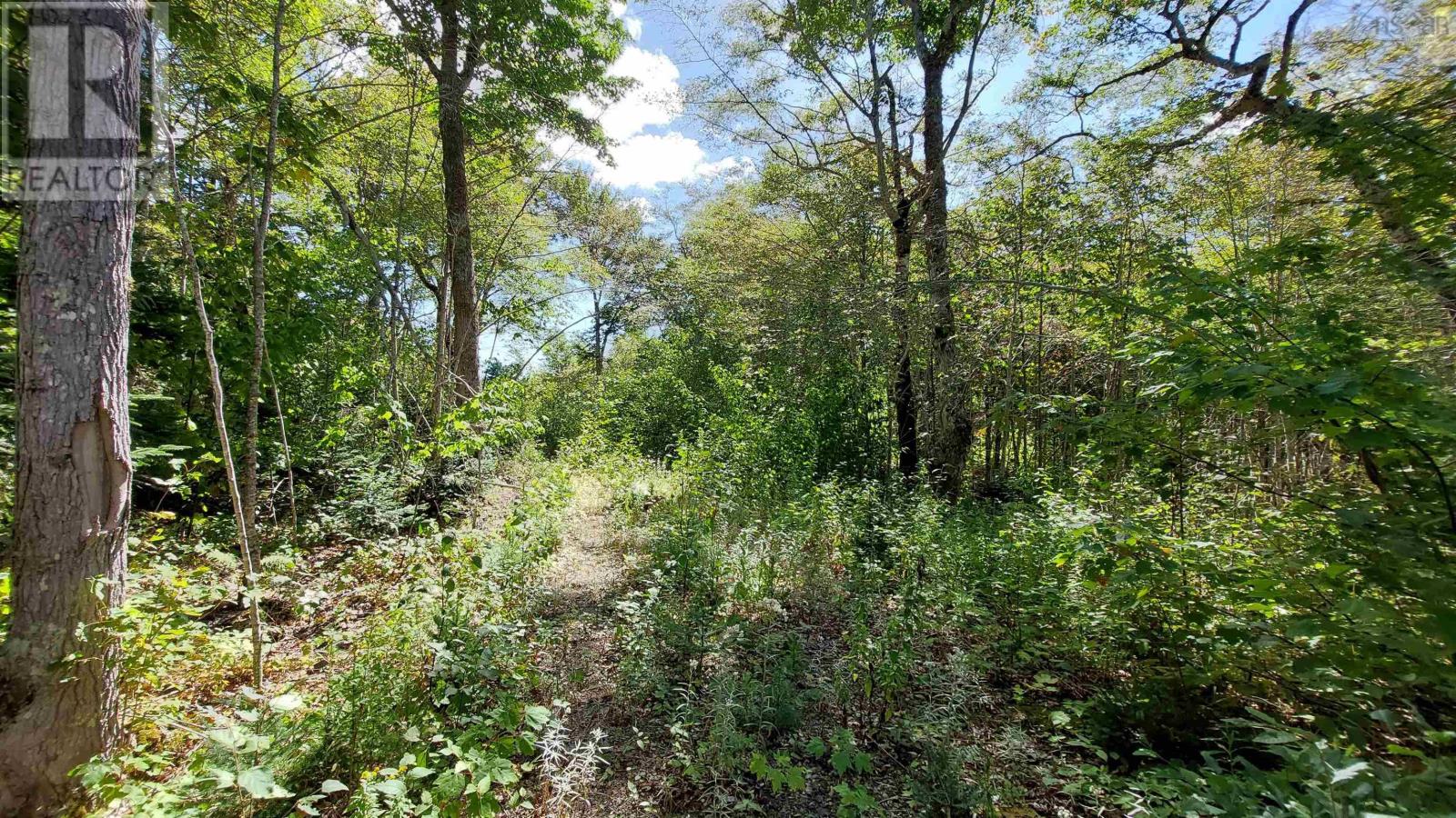 Lot 11 Duke Lane, Malagawatch, Nova Scotia  B0E 2Y0 - Photo 13 - 202500605