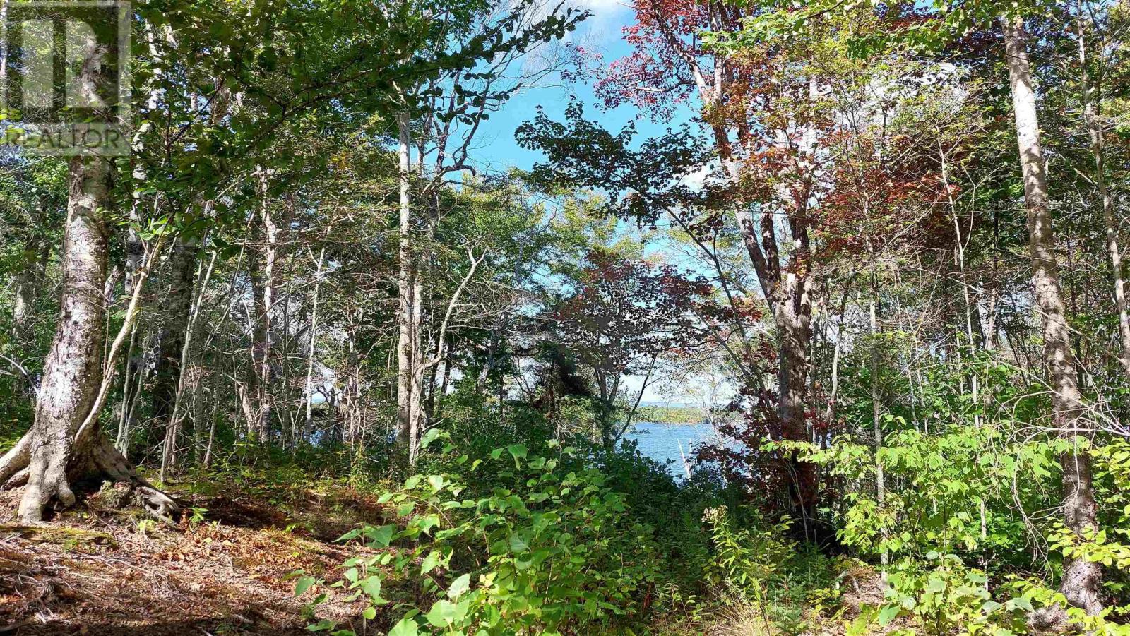 Lot 11 Duke Lane, Malagawatch, Nova Scotia  B0E 2Y0 - Photo 9 - 202500605