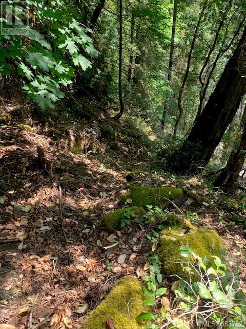409 Pilkey Point Rd, Thetis Island, British Columbia  V0R 2Y0 - Photo 48 - 983752