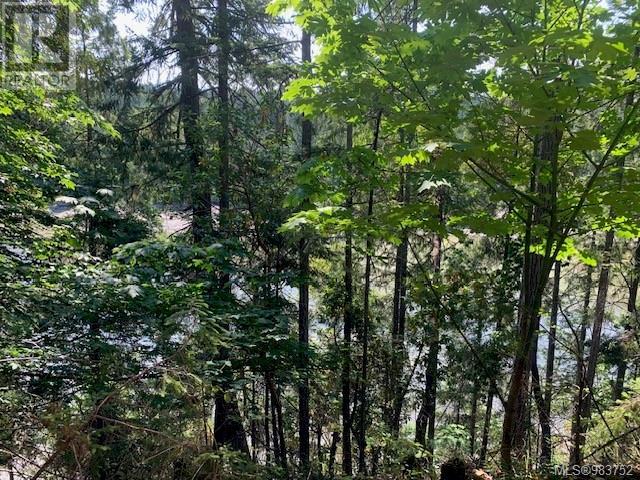 409 Pilkey Point Rd, Thetis Island, British Columbia  V0R 2Y0 - Photo 49 - 983752