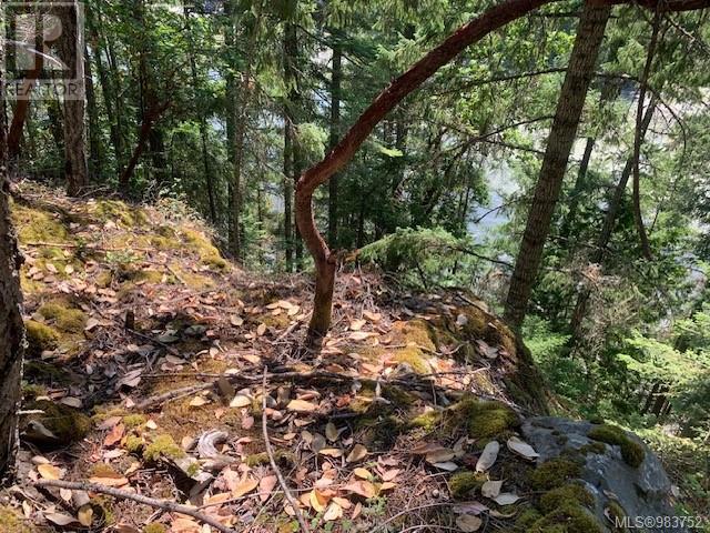 409 Pilkey Point Rd, Thetis Island, British Columbia  V0R 2Y0 - Photo 52 - 983752