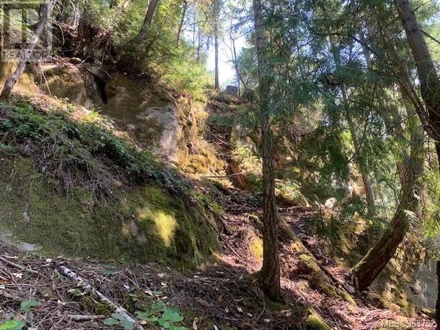 409 Pilkey Point Rd, Thetis Island, British Columbia  V0R 2Y0 - Photo 40 - 983752