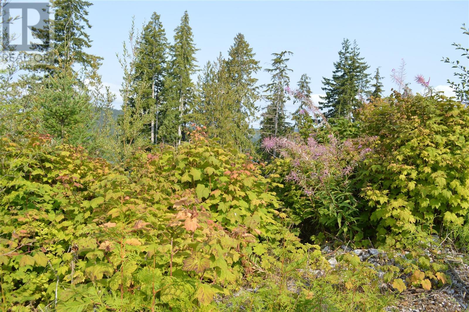 Dl315 Kenny Point, Port Hardy, British Columbia  V0N 2V0 - Photo 33 - 984172