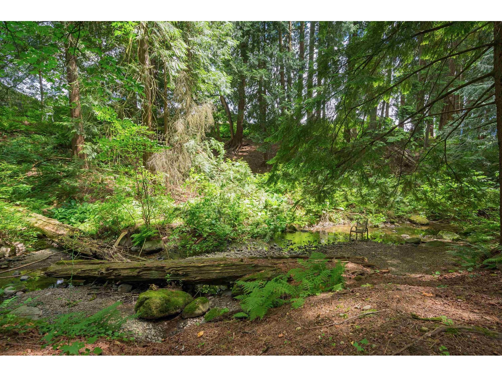 20538 88a Avenue, Langley, British Columbia  V1M 2Y6 - Photo 32 - R2954866