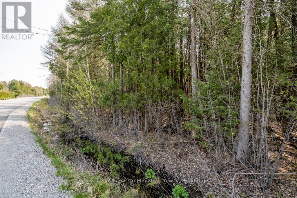 Lot 438 Champlain Road, Tiny, Ontario  L9M 1S5 - Photo 11 - S11918141