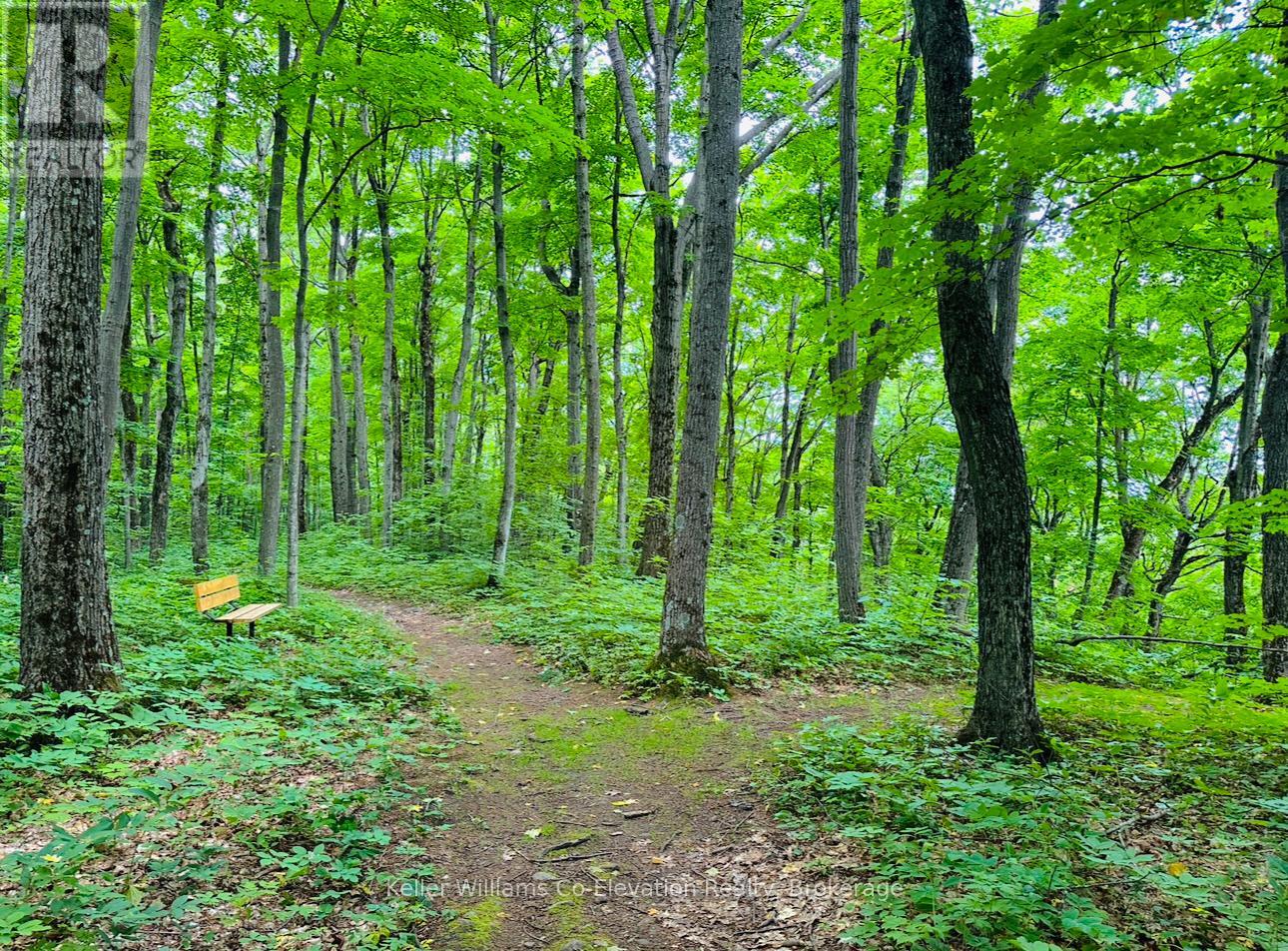 Lot 438 Champlain Road, Tiny, Ontario  L9M 1S5 - Photo 20 - S11918141