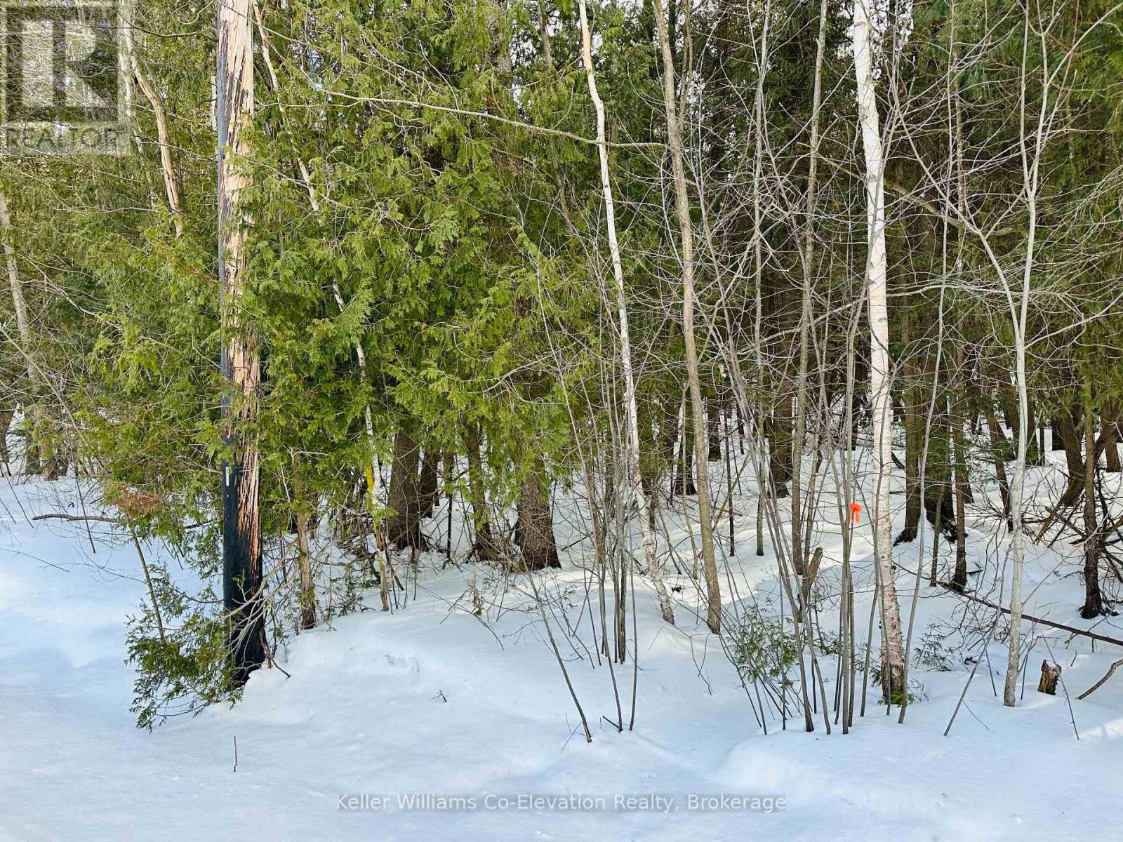 Property at LOT 438 CHAMPLAIN ROAD image 3
