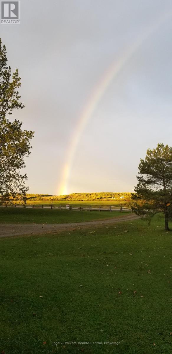 317343 3rd Line, Meaford, Ontario  N4L 1W7 - Photo 35 - X11918132