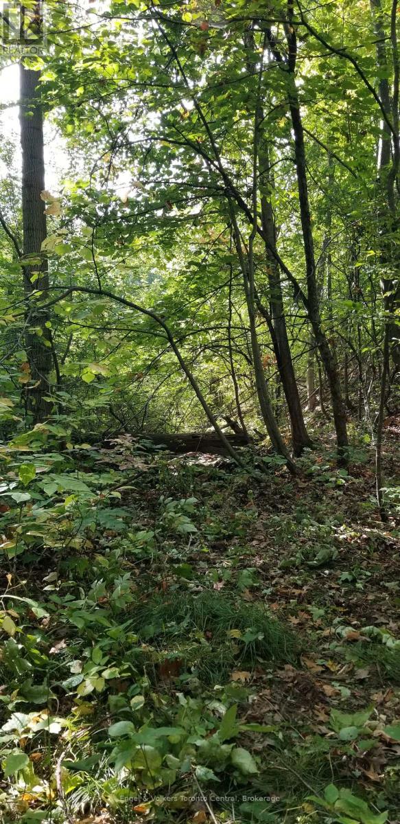 317343 3rd Line, Meaford, Ontario  N4L 1W7 - Photo 9 - X11918132