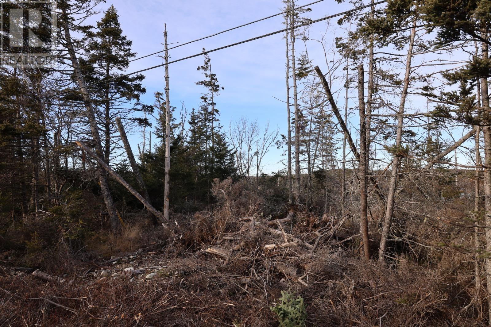 26431 Highway 7, Sheet Harbour, Nova Scotia  B0J 2R0 - Photo 7 - 202416878