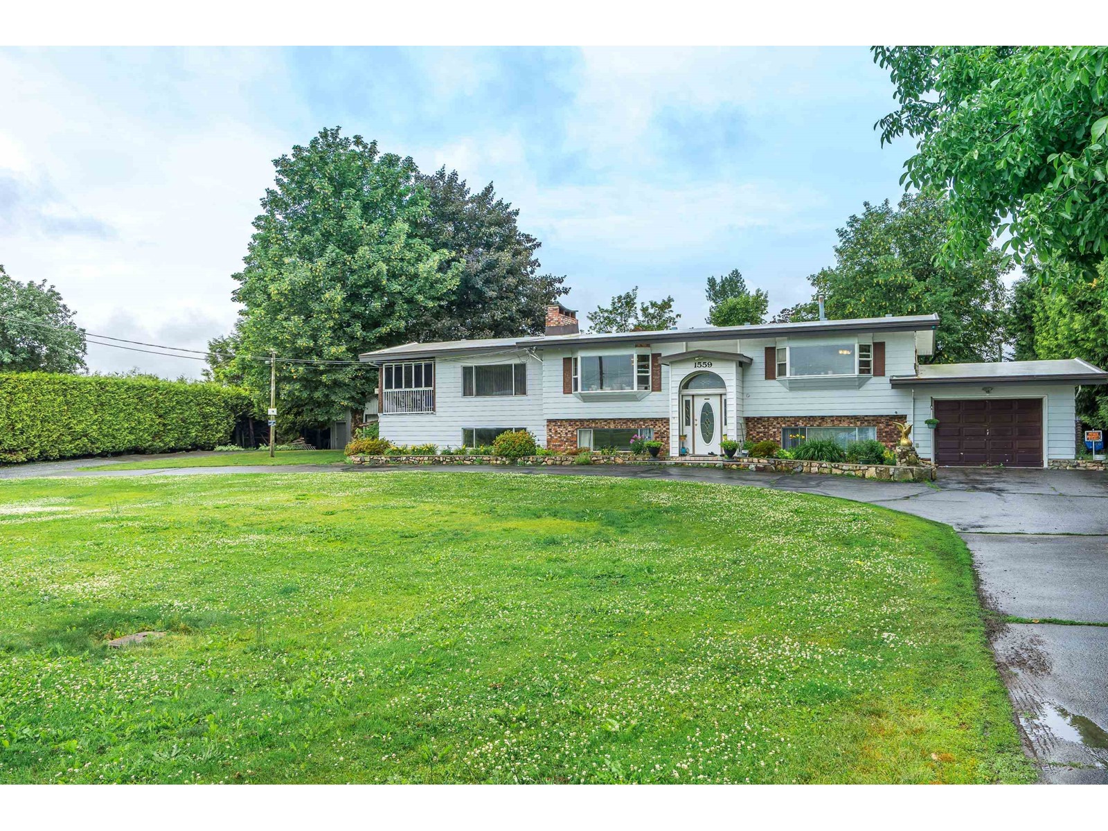 Property at 1559 WHATCOM ROAD image 1