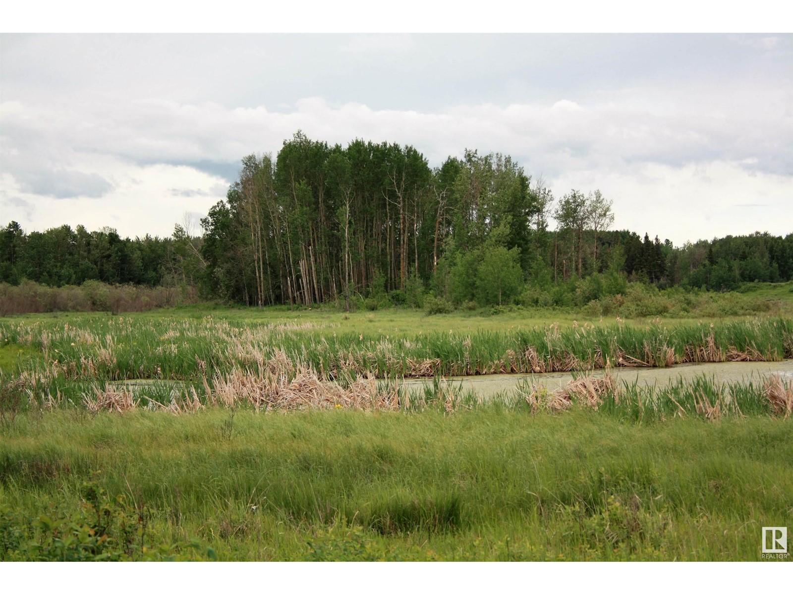 Rng Rd 25 Twp 530, Rural Parkland County, Alberta  T7Y 2J5 - Photo 16 - E4417643