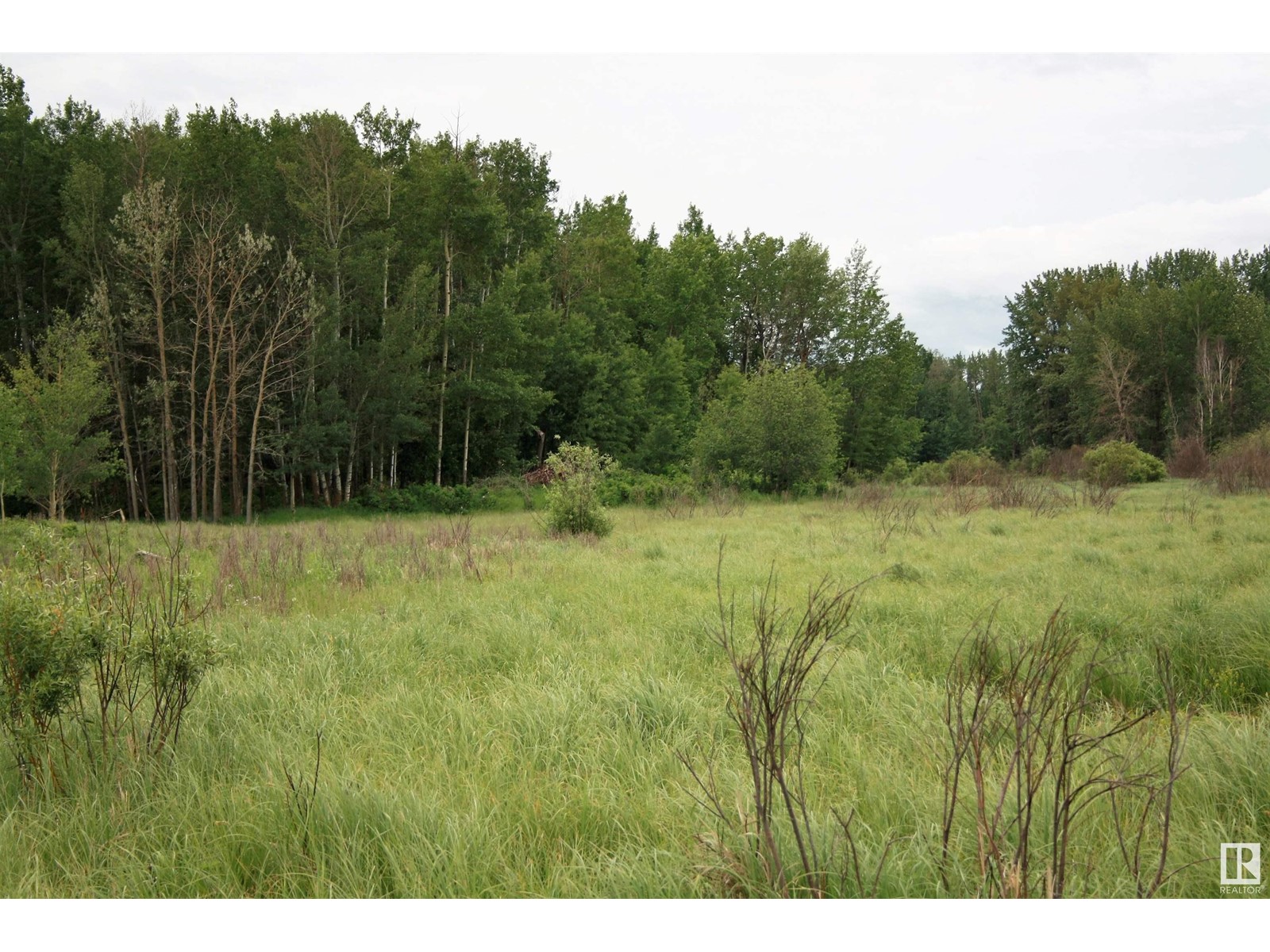 Rng Rd 25 Twp 530, Rural Parkland County, Alberta  T7Y 2J5 - Photo 10 - E4417643