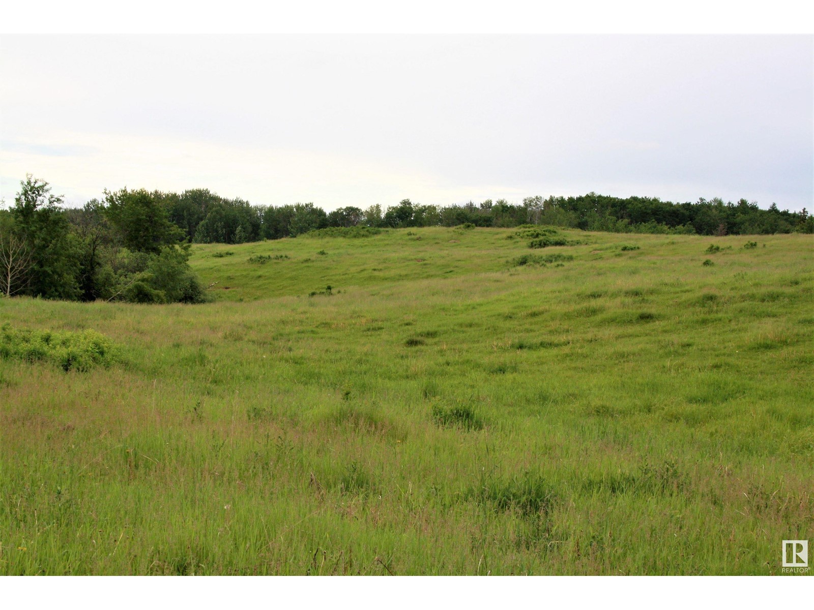 Rng Rd 25 Twp 530, Rural Parkland County, Alberta  T7Y 2J5 - Photo 9 - E4417643