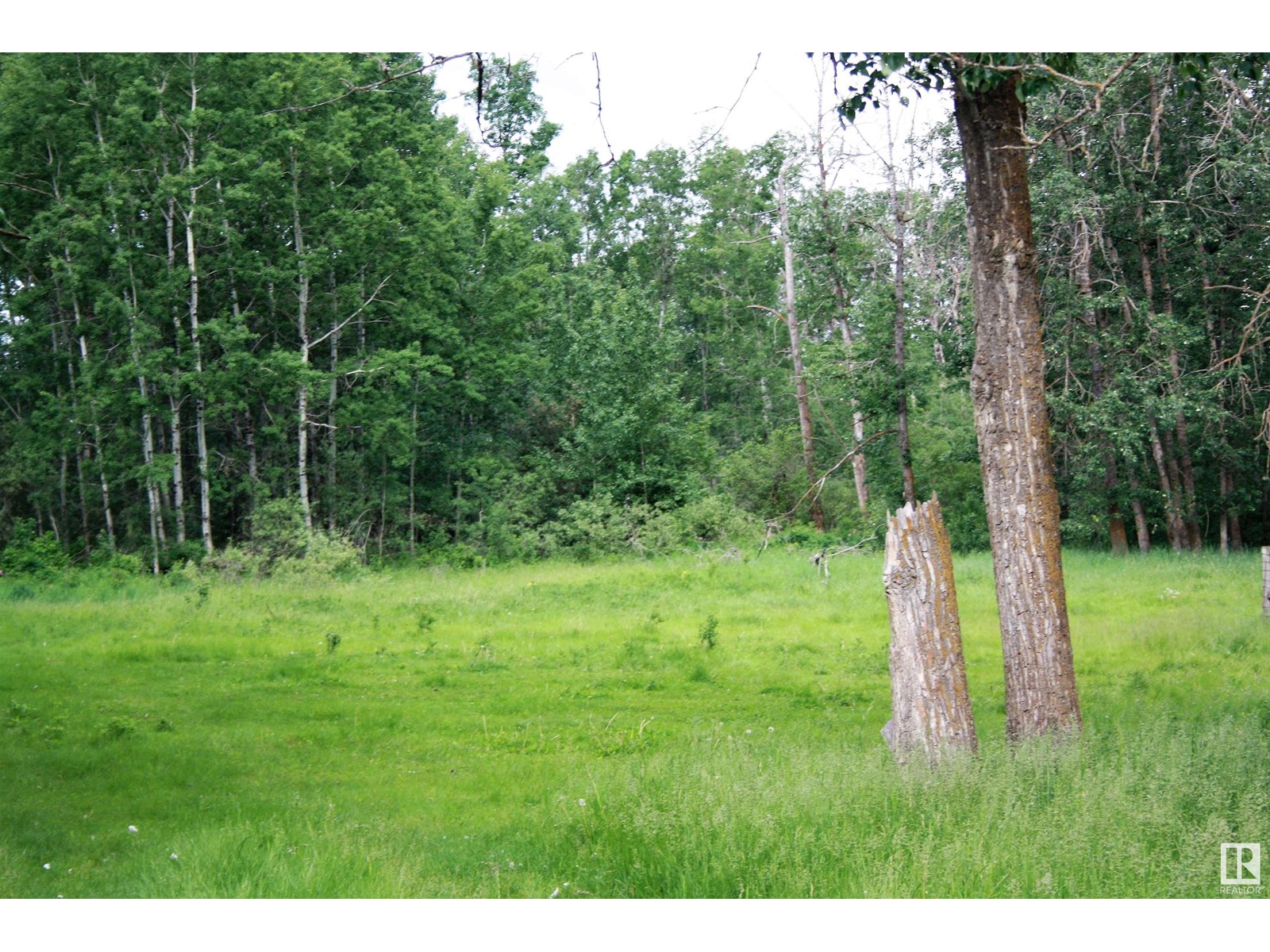Rng Rd 25 Twp 530, Rural Parkland County, Alberta  T7Y 2J5 - Photo 26 - E4417643