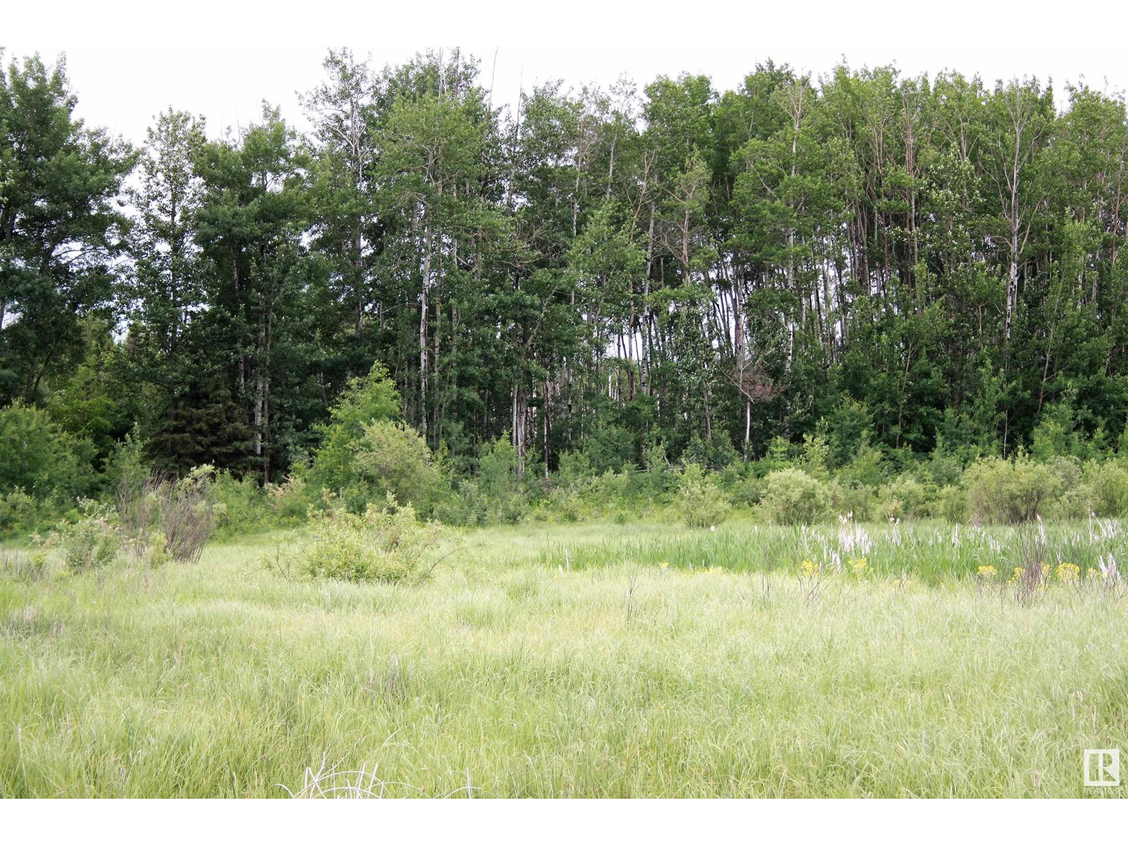 Rng Rd 25 Twp 530, Rural Parkland County, Alberta  T7Y 2J5 - Photo 19 - E4417643