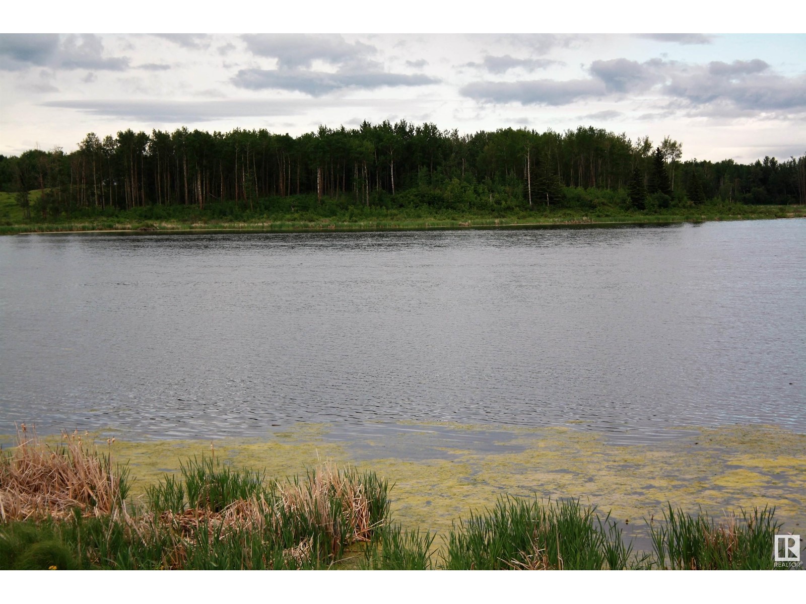 Rng Rd 25 Twp 530, Rural Parkland County, Alberta  T7Y 2J5 - Photo 23 - E4417643
