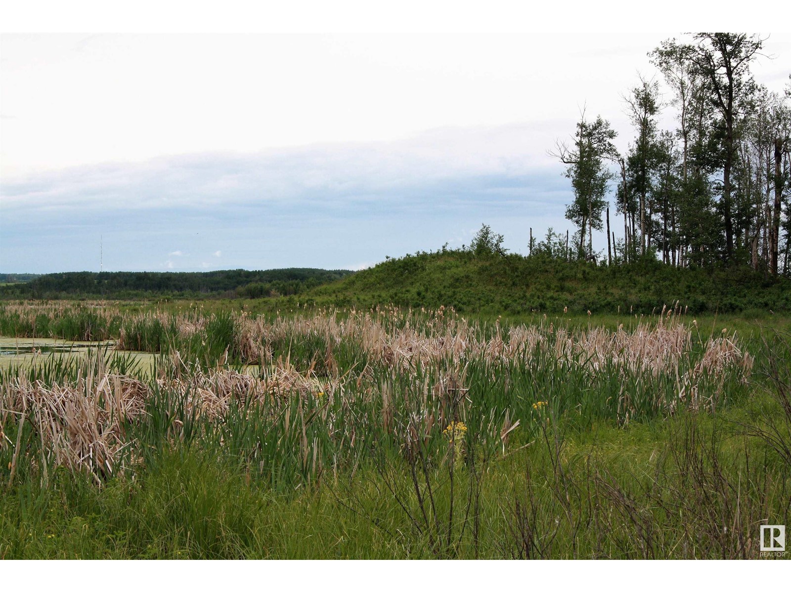 Rng Rd 25 Twp 530, Rural Parkland County, Alberta  T7Y 2J5 - Photo 18 - E4417643