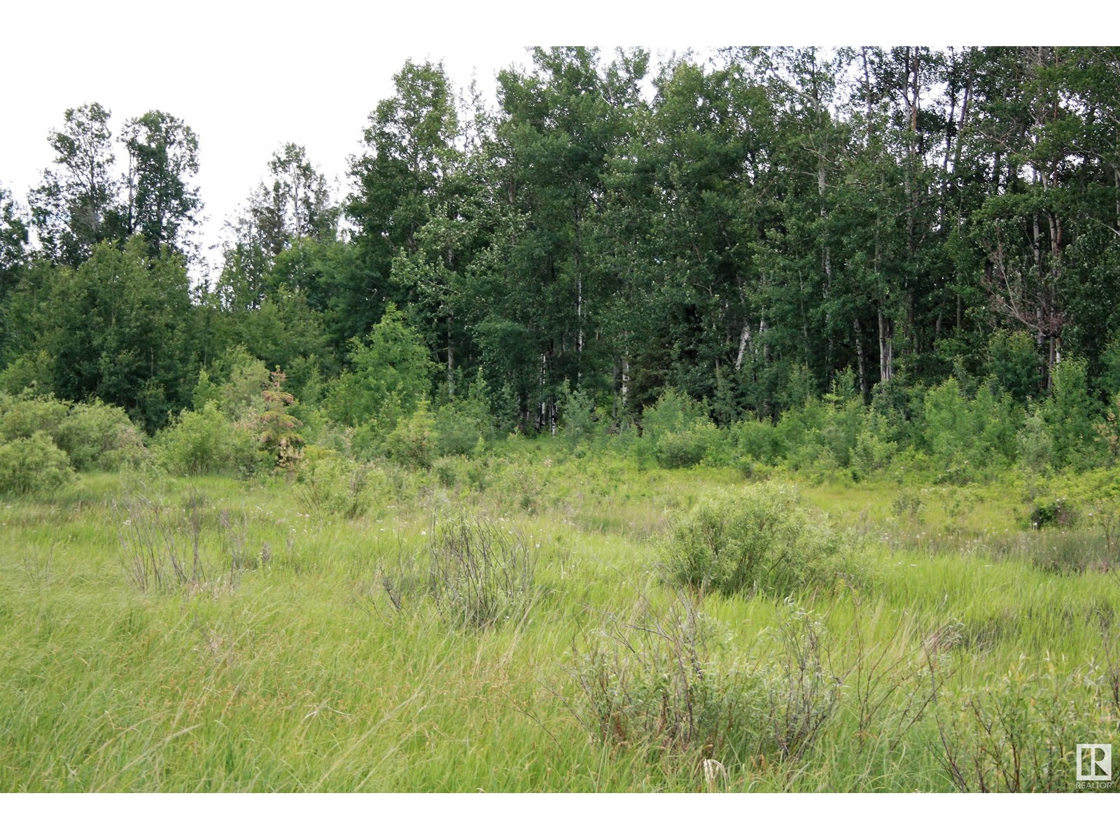 Rng Rd 25 Twp 530, Rural Parkland County, Alberta  T7Y 2J5 - Photo 11 - E4417643