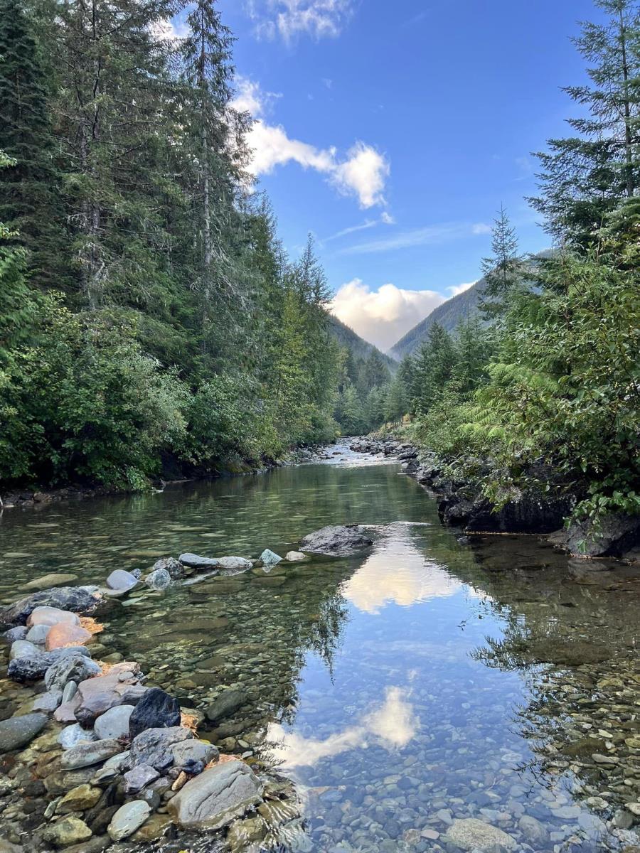 Sve23 Old Hope Princeton Highway, Sunshine Valley, Sunshine Valley, British Columbia V0X 1L5 - Photo 11 - R2954851