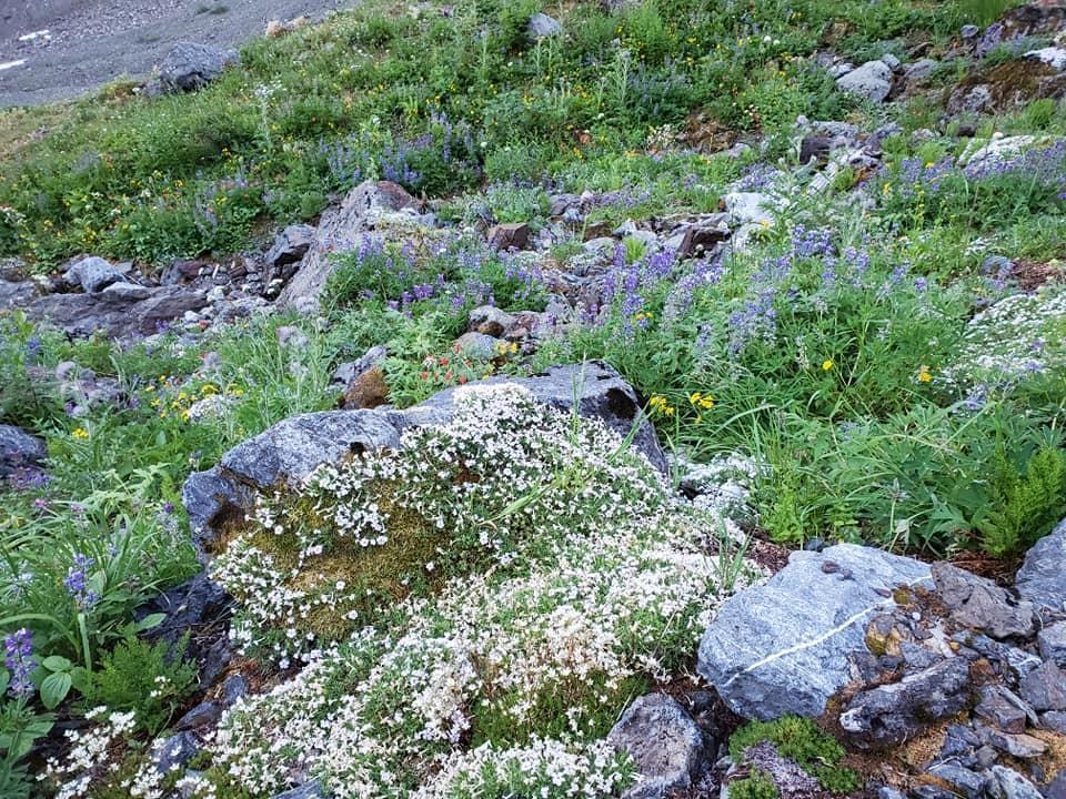 Sve23 Old Hope Princeton Highway, Sunshine Valley, Sunshine Valley, British Columbia V0X 1L5 - Photo 24 - R2954851