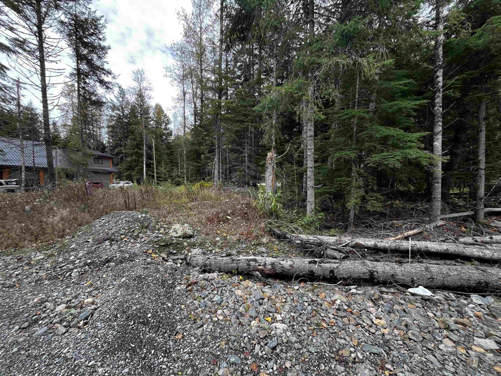 Sve23 Old Hope Princeton Highway, Sunshine Valley, Sunshine Valley, British Columbia V0X 1L5 - Photo 4 - R2954851