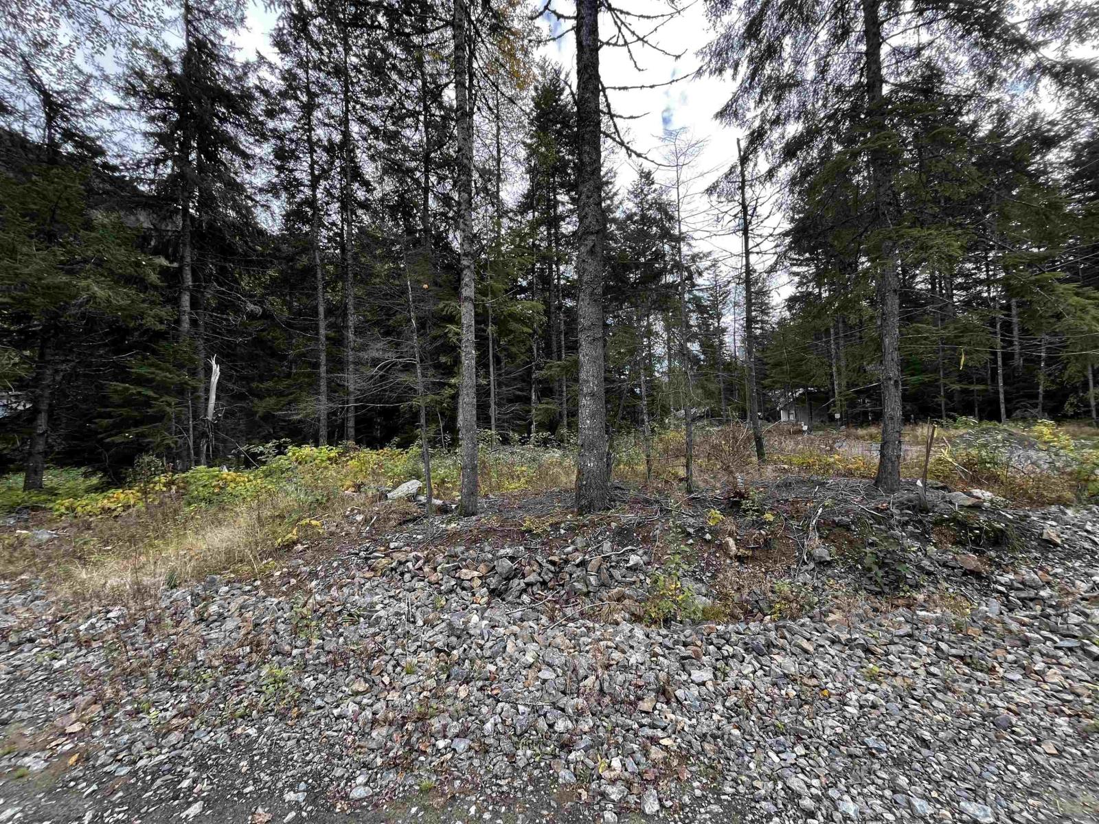 Sve23 Old Hope Princeton Highway, Sunshine Valley, Sunshine Valley, British Columbia V0X 1L5 - Photo 5 - R2954851