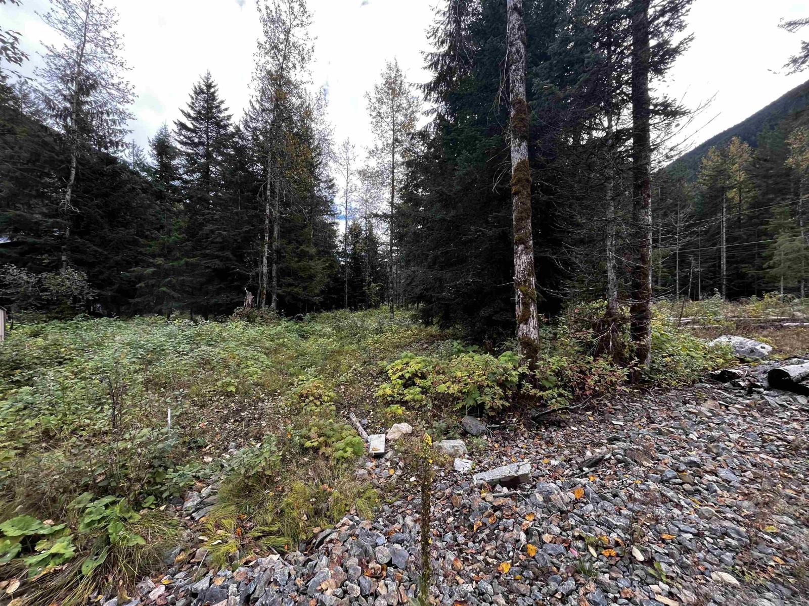 Sve23 Old Hope Princeton Highway, Sunshine Valley, Sunshine Valley, British Columbia V0X 1L5 - Photo 6 - R2954851