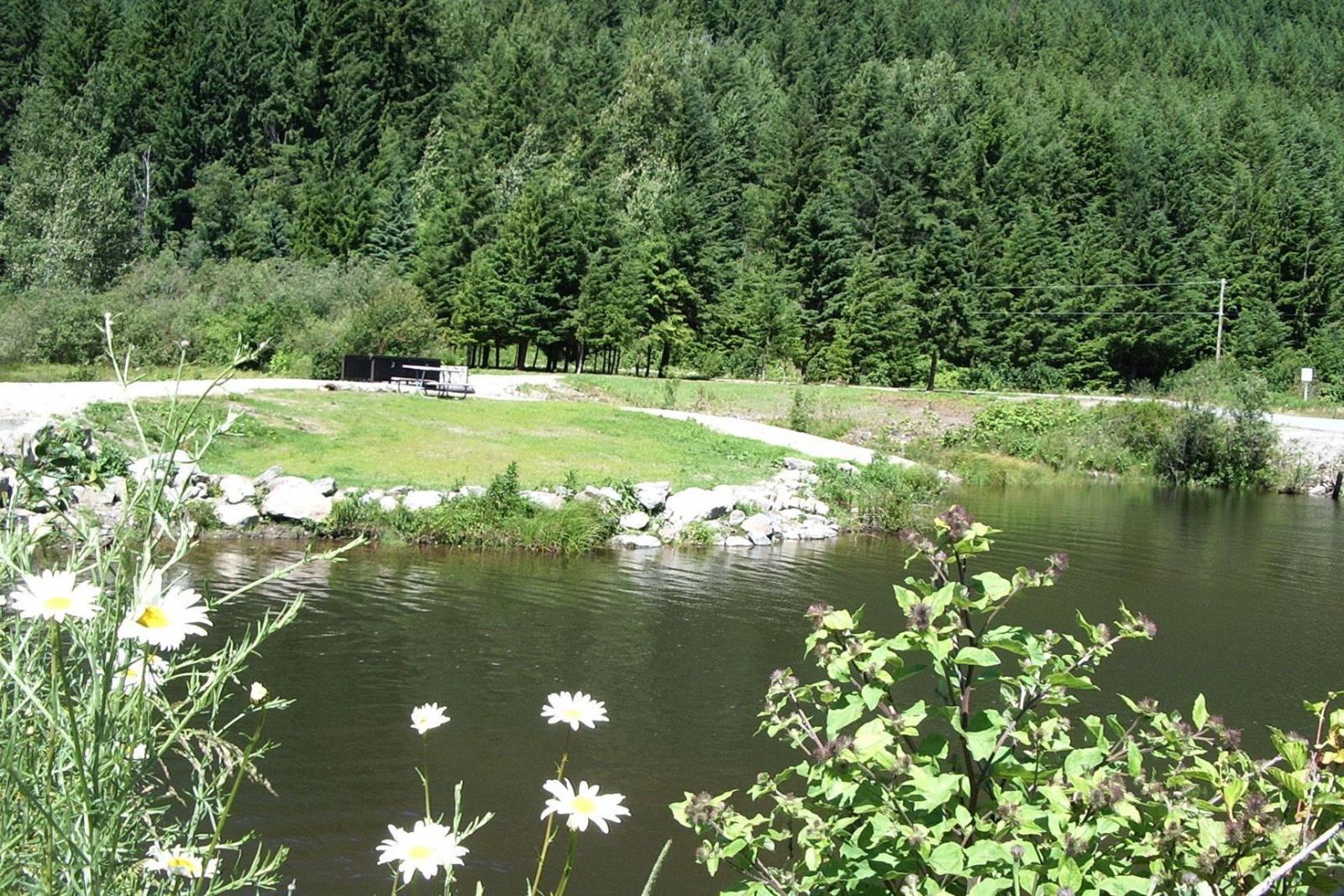 Sve23 Old Hope Princeton Highway, Sunshine Valley, Sunshine Valley, British Columbia V0X 1L5 - Photo 8 - R2954851