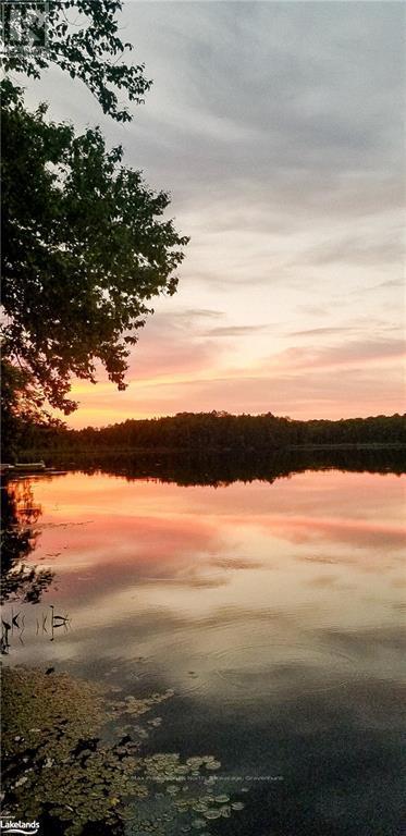 1 - 1044 Young's Road, Muskoka Lakes, Ontario  P0B 1J0 - Photo 40 - X10439061