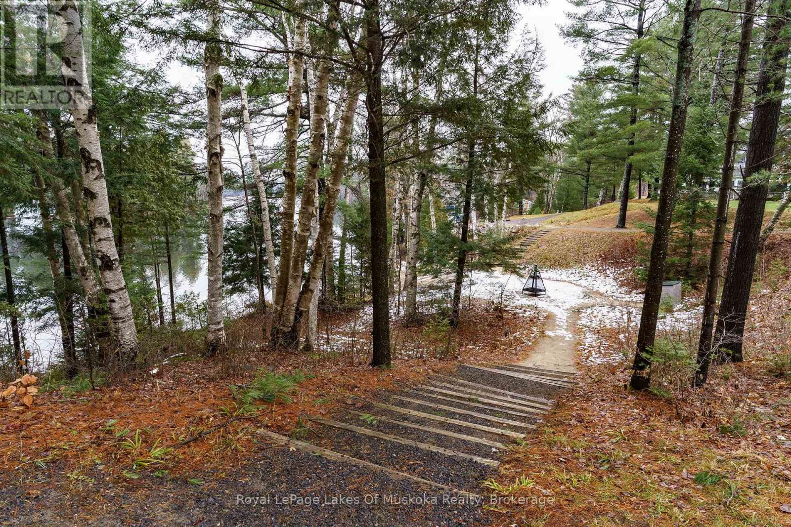 V15 W10 - 1020 Birch Glen Road, Lake Of Bays, Ontario  P0B 1A0 - Photo 8 - X11918936