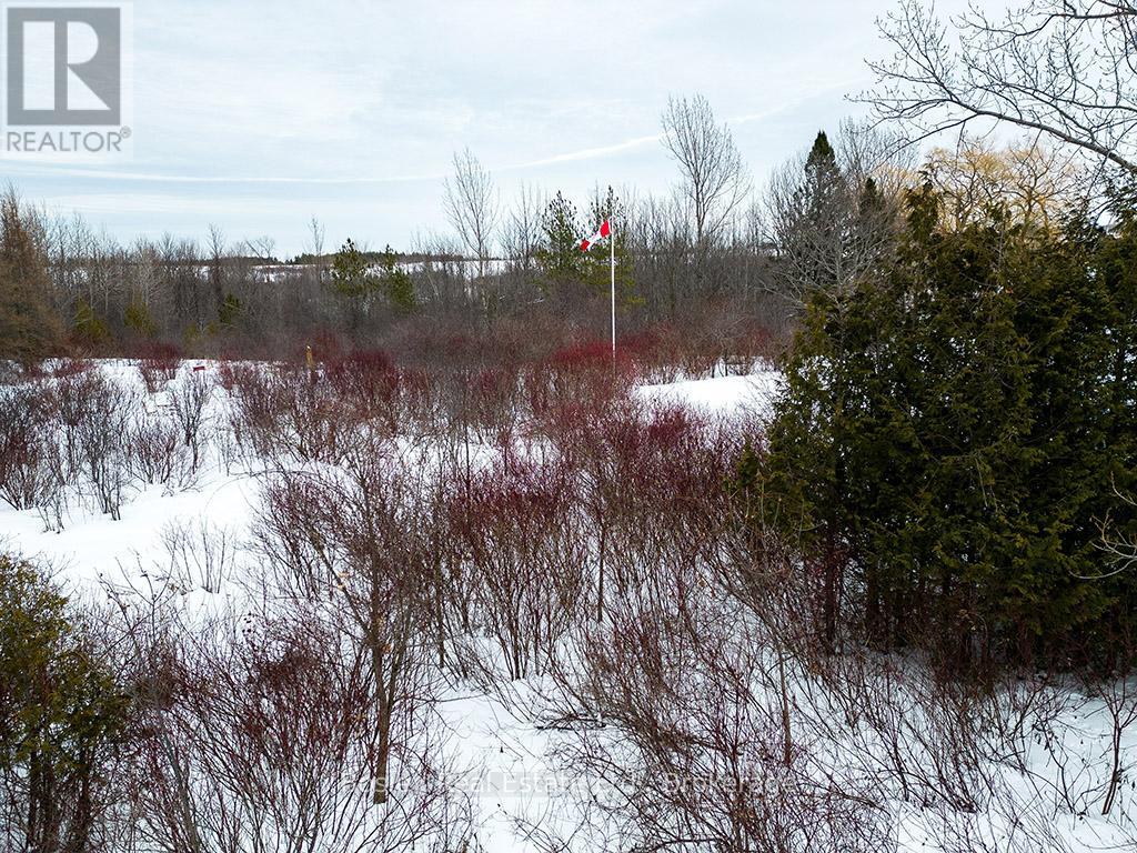 Pt84 Third Line, Meaford, Ontario  N4L 1W7 - Photo 10 - X11919051