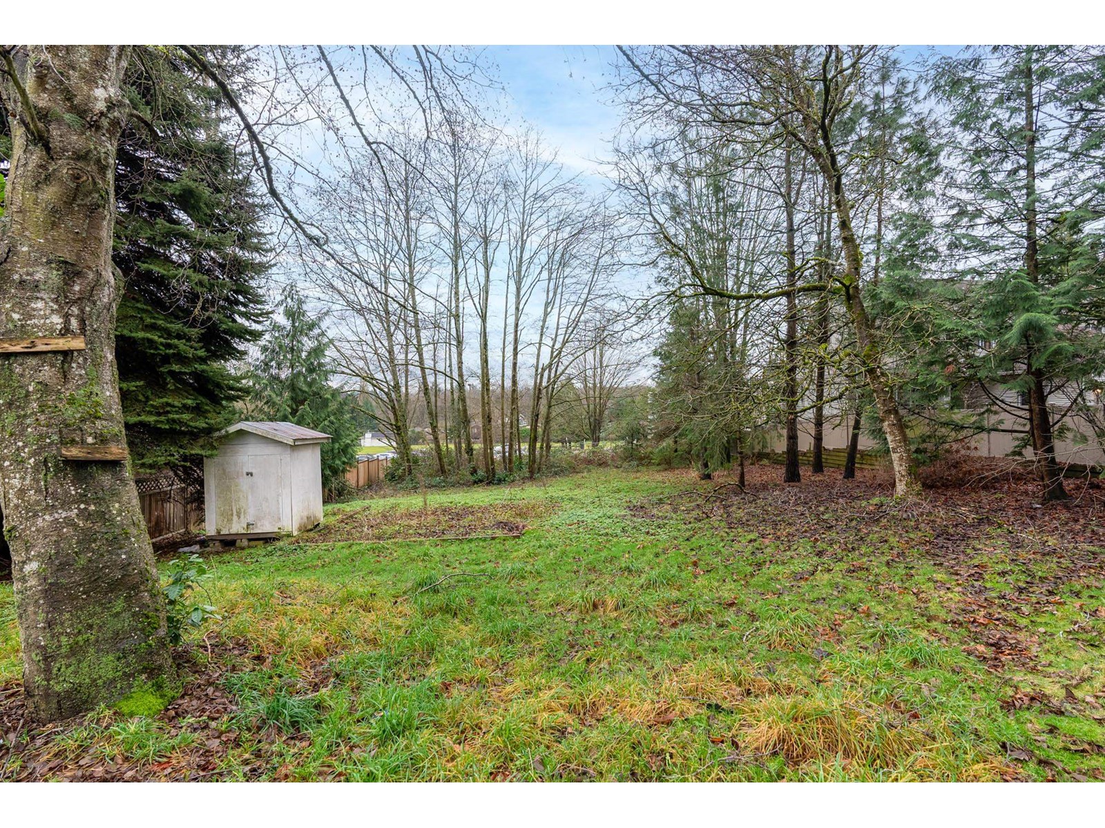 6713 140 Street, Surrey, British Columbia  V3W 5J3 - Photo 24 - R2953694