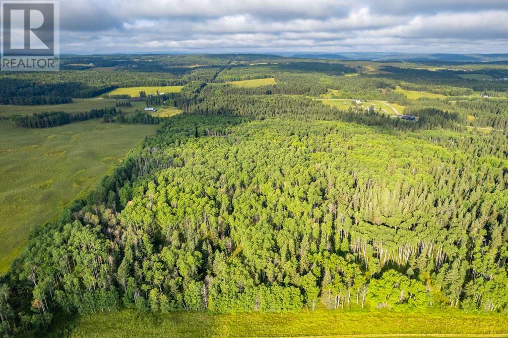 78 Acres Range Road 52, Rural Mountain View County, Alberta  t0m 2e0 - Photo 13 - A2164921