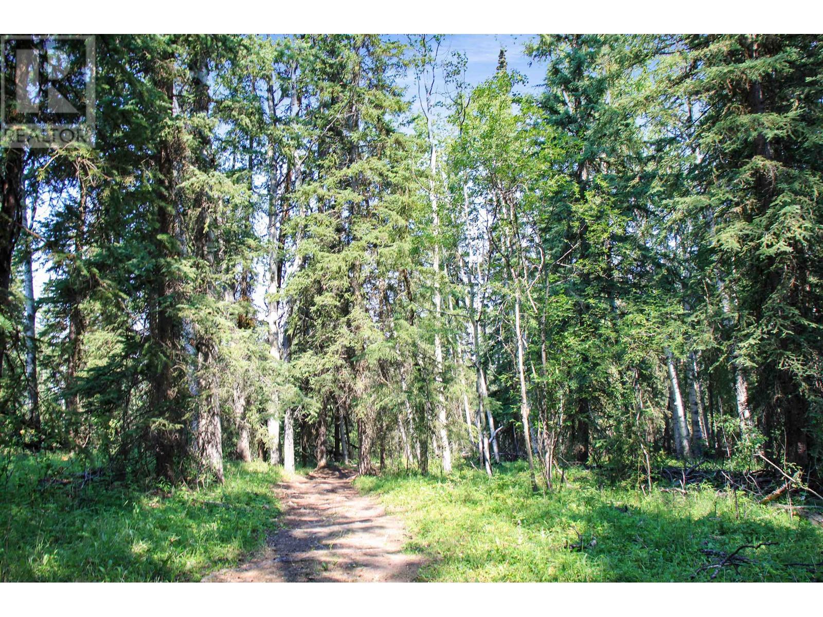 Lot 59 Nath Road, Sheridan Lake, British Columbia  V0K 1X1 - Photo 19 - R2954603