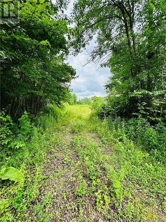 Lot 02-1 Slater Road, Maxwell, New Brunswick  E7N 2Z8 - Photo 20 - NB102955