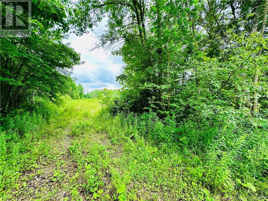 Lot 02-1 Slater Road, Maxwell, New Brunswick  E7N 2Z8 - Photo 22 - NB102955