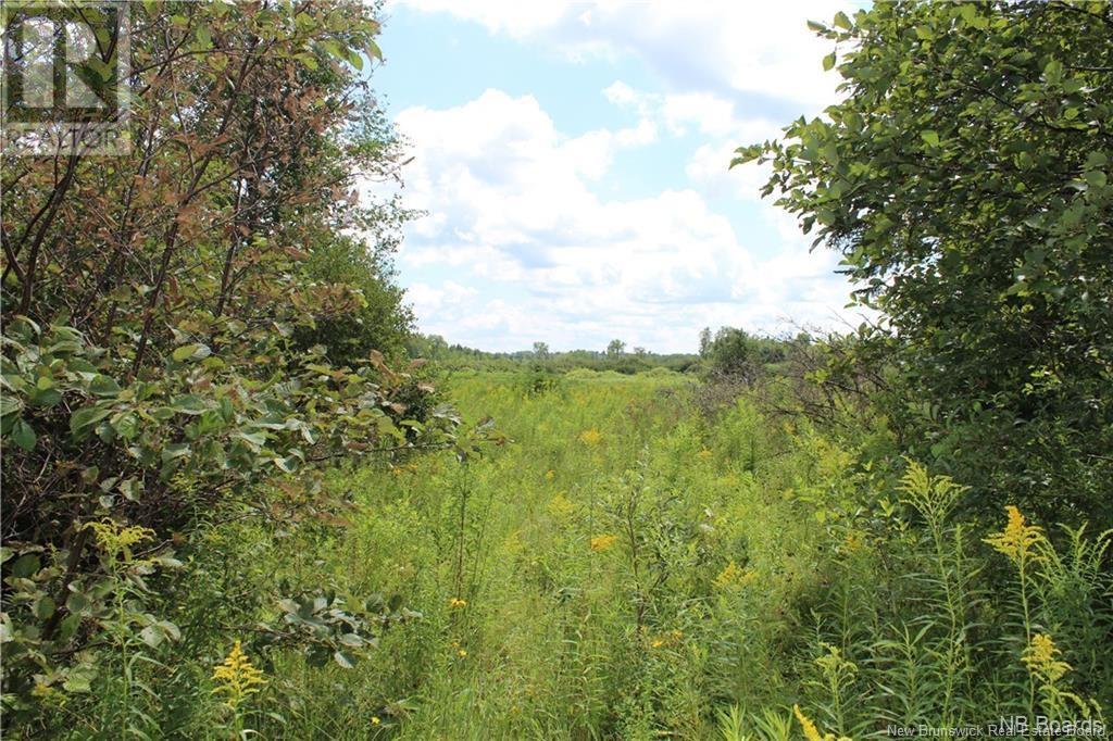 Lot 02-1 Slater Road, Maxwell, New Brunswick  E7N 2Z8 - Photo 16 - NB102955