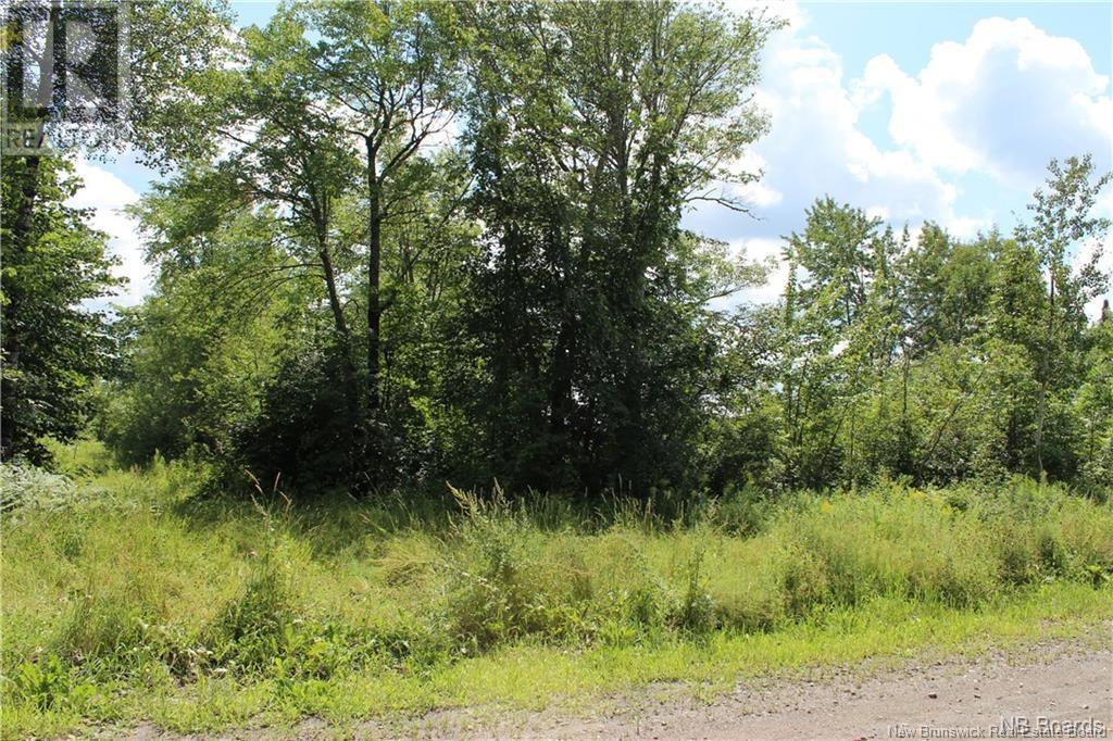 Lot 02-1 Slater Road, Maxwell, New Brunswick  E7N 2Z8 - Photo 17 - NB102955