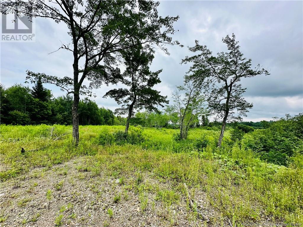 Lot 02-1 Slater Road, Maxwell, New Brunswick  E7N 2Z8 - Photo 28 - NB102955