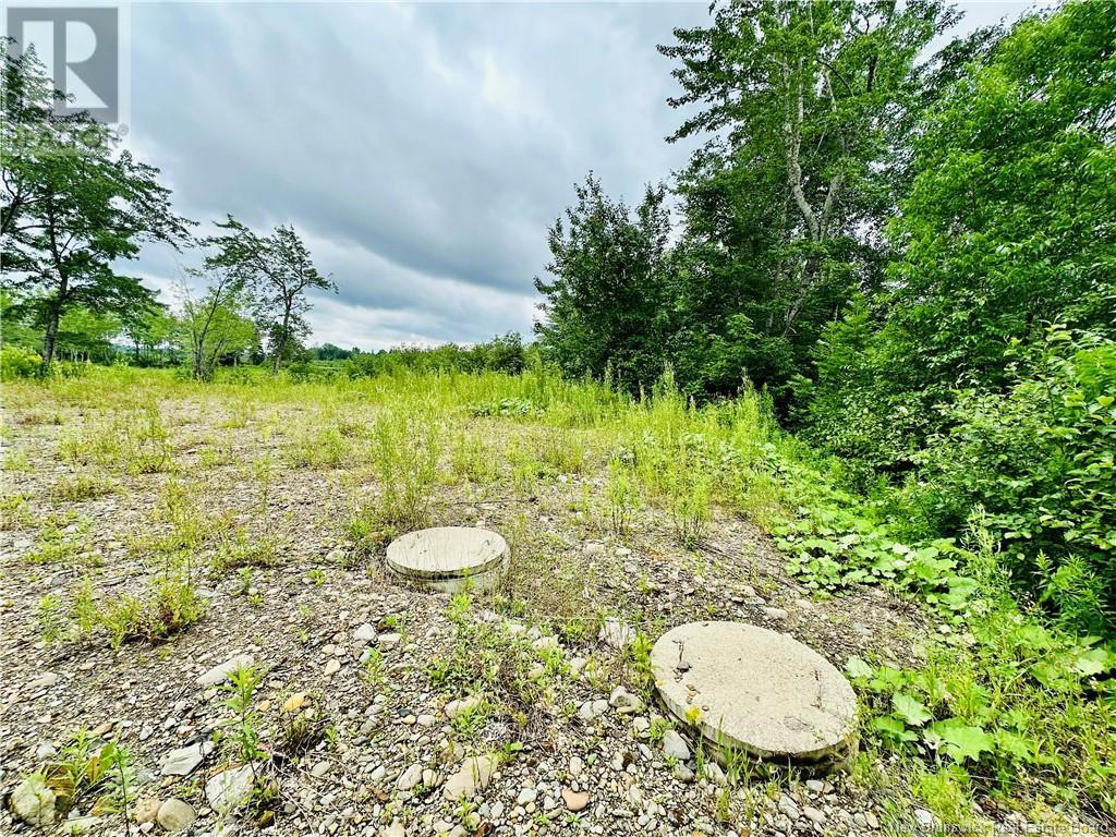 Lot 02-1 Slater Road, Maxwell, New Brunswick  E7N 2Z8 - Photo 29 - NB102955