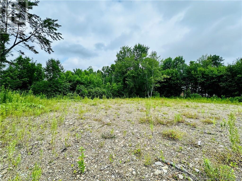 Lot 02-1 Slater Road, Maxwell, New Brunswick  E7N 2Z8 - Photo 30 - NB102955